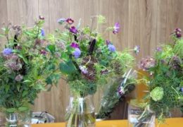 ２０２５年９月の花